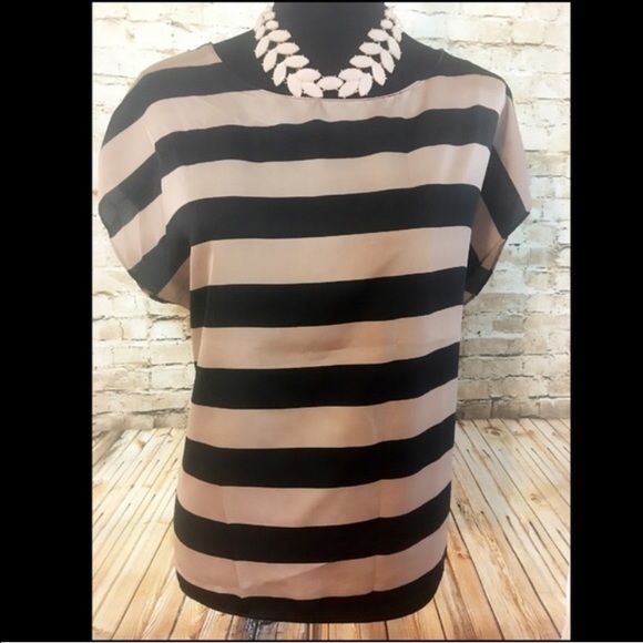 Dusty Pink and Black stripe Blouse - Picture 4 of 4