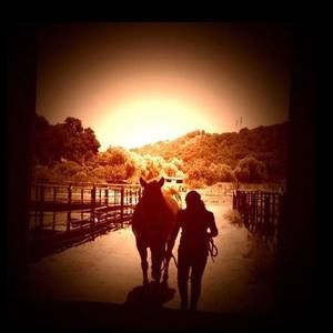 Meet your Posher, Yu ting