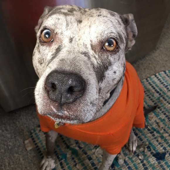 🎉💥✨CLOSET SALE!✨💥💫 - Picture 2 of 2