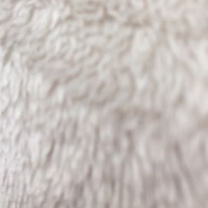 Meet your Posher, Kiley