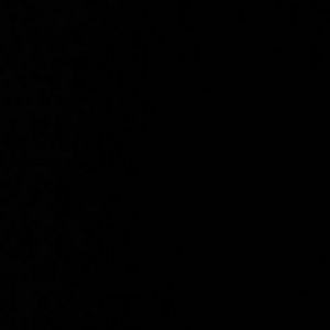 Meet your Posher, Carlos