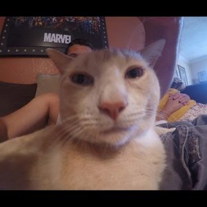 Meet your Posher, Saray