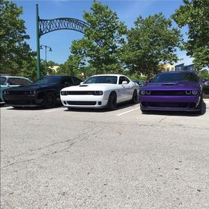 Meet your Posher, Delia