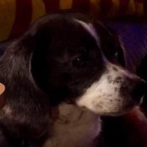 Meet your Posher, Judy