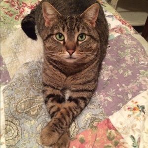 Meet your Posher, Molly