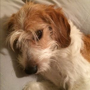 Meet your Posher, Frisha