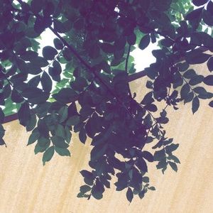 Meet your Posher, Chloe