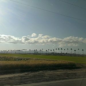 Meet your Posher, Desiree