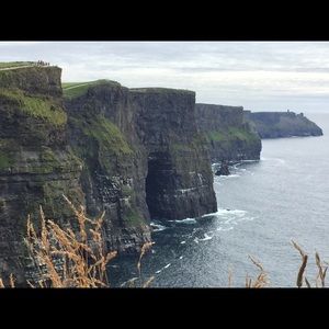 Meet your Posher, Robin