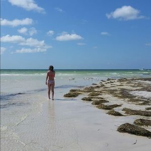 Meet your Posher, Malia