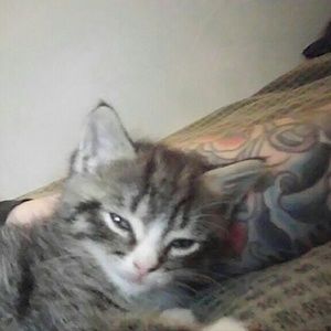 Meet your Posher, Brian