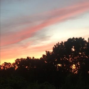 Meet your Posher, Donielle