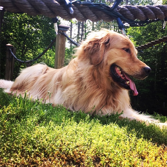 Meet your Posher, Dustin