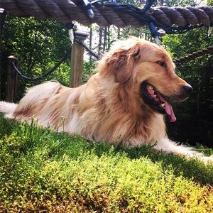 Meet your Posher, Dustin