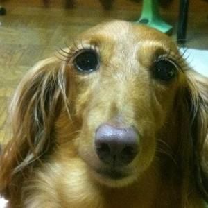 Meet your Posher, Veronica