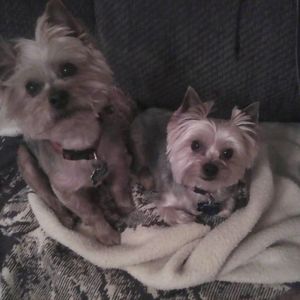 Meet your Posher, Michelle