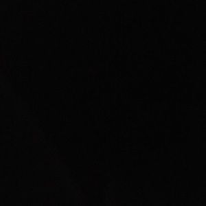 Meet your Posher, Izzy