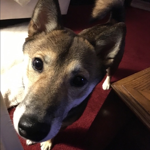 Meet your Posher, Maria - Picture 1 of 1