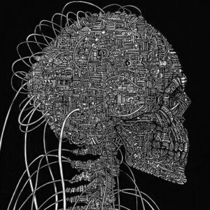 Meet your Posher, Tatum