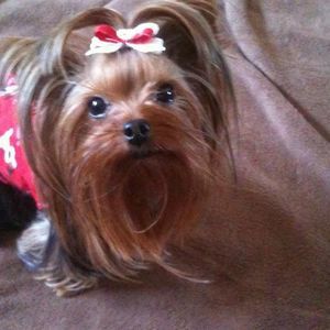 Meet your Posher, Paula