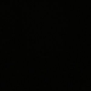 Meet your Posher, Layla