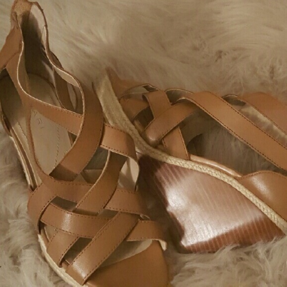 Tahari - Picture 1 of 3