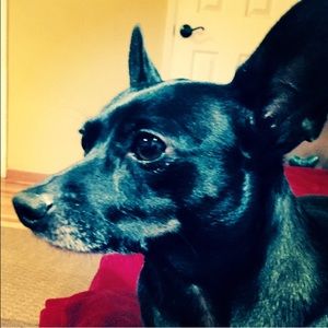 Meet your Posher, Danielle