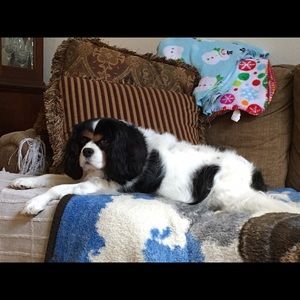 Meet your Posher, Hayley