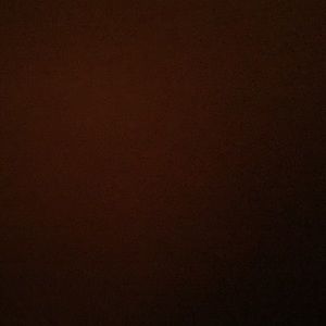 Meet your Posher, Arianna