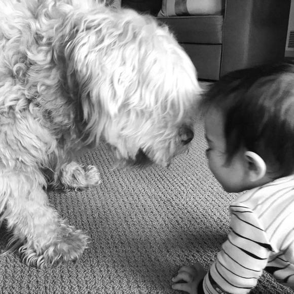 Meet your Posher, Tania