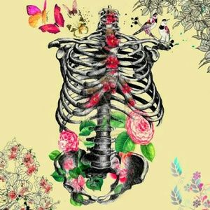 Meet your Posher, Arty