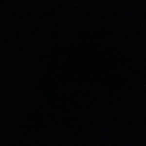 Meet your Posher, Daily