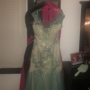 Beautiful Rachel Allan Prom Dress
