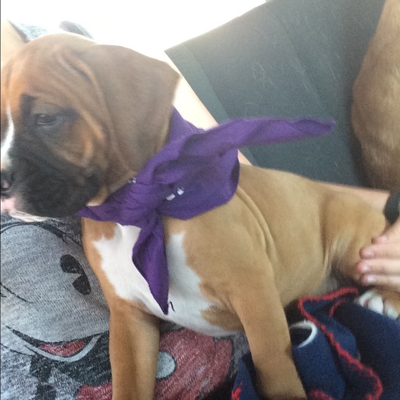 Meet your Posher, Katy