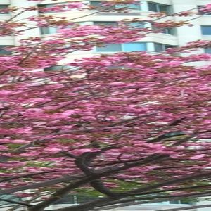 Meet your Posher, Marina