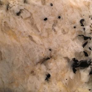 Meet your Posher, Lia