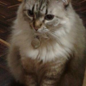 Meet your Posher, Sandra