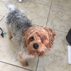 Meet your Posher, Janette