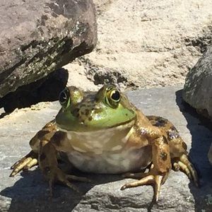 Meet your Posher, Janice