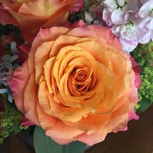 Meet your Posher, Jenna