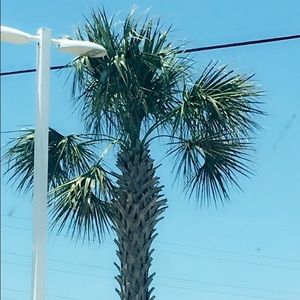 Meet your Posher, Leena