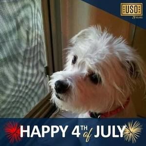 Meet your Posher, Lydia