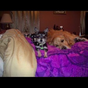 Meet your Posher, Michele