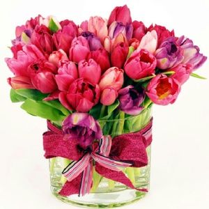 Meet your Posher, Elina