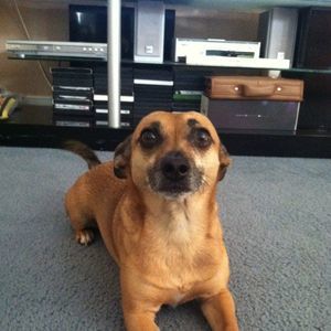 Meet your Posher, Nelly