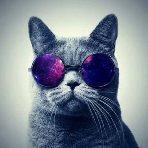 Meet your Posher, Yuneidy