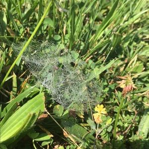 Meet your Posher, Kaylee