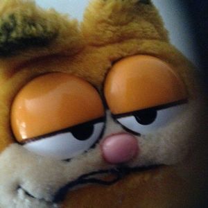 Meet your Posher, Carol