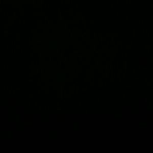 Meet your Posher, Misty