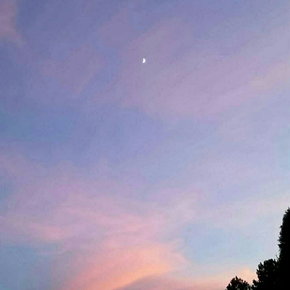 Meet your Posher, Addie - Picture 1 of 1